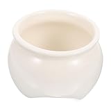 Éveil des sens : Laissez-vous par charme discret de ce pot qui invite à détente et à créativité, idéal pour passionnés de plantes souhaitant égayer leur quotidien avec touche de fraîcheur et d'harmonie