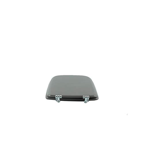 Copriwater Ideal Standard Conca Castoro Cerniera Cromo-Sedile-Asse Wc - 7