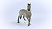 Schleich Horse Club Cheval de Selle Francais Stallion Horse Figurine - Authentic and Educational Toy Figure, Fun and Imaginative Play for Boys and Girls, Gift for Kids Ages 5+