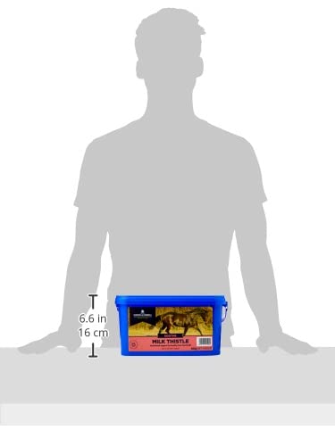 Dodson & Horrell DHL0208 Milk Thistle For Horses thumb #3