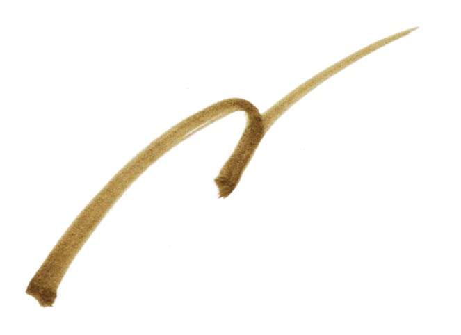 Paul & Joe Beaute Eyebrow Pen Number 02, Brown 0.7 ml, 1 g (Pack of 1) - Image 2