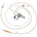 AO Smith 100110984 - K,PILOT ASSEMBLY W/TUBING,WR,NATURAL