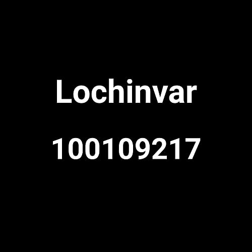Lochinvar Corporation 100109217 Natural Gas Control Valve