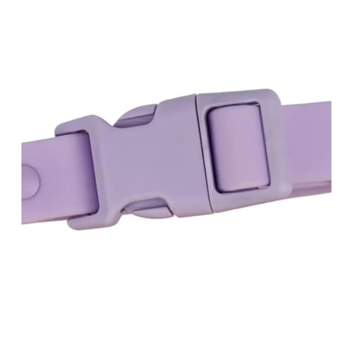 Collier sangle élastique animaux identification réglable avec boucle de sécurité