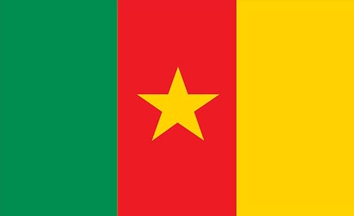 Drapeau du Cameroun grand format 120x80 pavillon extérieur résistant vent et mer
