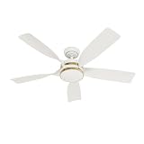 Casablanca - Julia Indoor/Outdoor Ceiling Fan With Light, Wall Control, Remote, 52-inch, 6-speed DC Motor, Energy Star, for porches, patios, sunrooms, bathrooms (Fresh White)