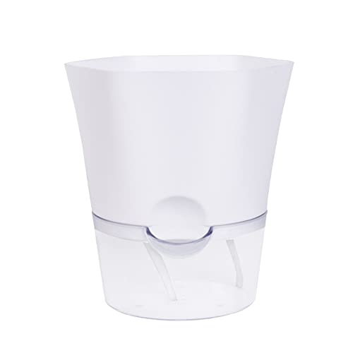 Bakkeny Hidropónica Automática Absorción de Agua Maceta Suculenta Maceta Automática Maceta Perezosa Hidropónica M