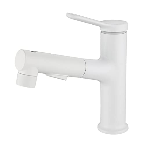 Robinet de salle de bain extractible anti-éclaboussures chrome HLTYGWX