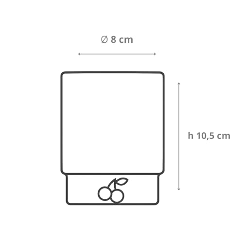 Verres en borosilicate Zafferano haut de gamme : art de la table et décors faits main - 7