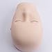 Human Model for Anatomy, Injection Training Human Head Model, Lash Mannequin Head Silicone Mannequin Face Model Head Model for Practice Training to Medical Student Doctor Esthetician