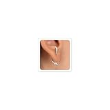 Goth Snake Earrings for Women Gold Silver Front Back Stud Serpent Dangle Earrings Punk Grunge Outfits Earrings Halloween Gothic Accessories Jewelry (A-Silver)