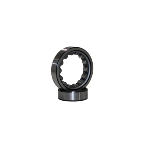 Rodamiento NJ2309EM 45x100x36mm rodillo cilíndrico de acero para motores y reductores 4