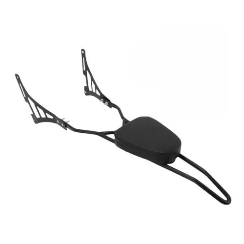 Appui-dos de passager arrière moto détachable noir Sportster 1200 883 2004-2023