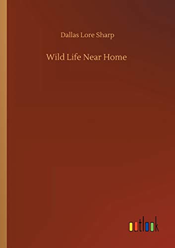 Wild Life Near Home