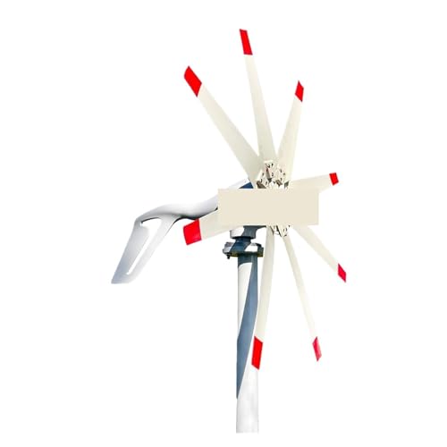 Turbina aerogeneradora de 3000W con arranque a baja velocidad del viento 24V 1