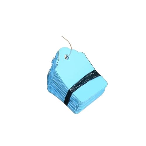 K[fxA AAAؔȂɖOL^邽߂̃[v݂艺}[J[100(Blue,6x4cm)