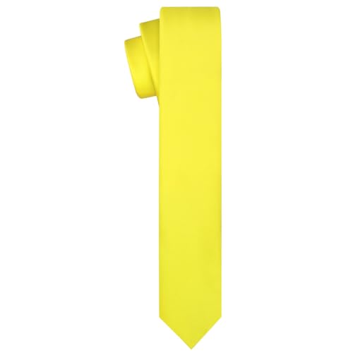 KissTies Boys Tie Satin Necktie For Teens Ties + Gift Box