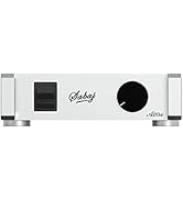 Amazon.com: Sabaj A30a Hi-Fi Power Amplifier, Axign AX5689 Chip