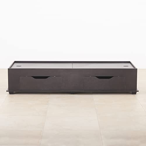 Image of Home Centre Helios Arvis Diwan Single Bed - Wenge (Engineered Wood)