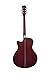 Washburn Deep Forest Burl ACE Acoustic Electric Guitar, Amber Fade (DFBACEA)