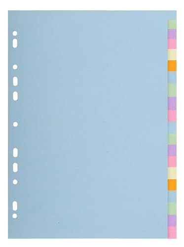 Exacompta - Réf. 2620E - 1 Intercalaire en carte pastel 170g/m2 Forever avec 20 onglets neutres - format à classer A4 - dimensions 22,5 x 29,7 cm - couleurs...