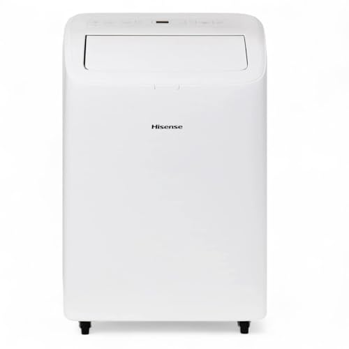Hisense 8,000 BTU Dual Hose HAP0825TWD New