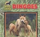 Dingoes 0836830962 Book Cover