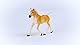 SCHLEICH Horse Club | Haflinger Fohlen 13951 | detailgetreues Pferd | tolles Geschenk für Mädchen und Jungen Pferde Spielzeug für Kinder ab 5 Jahren | 9 x 3 x 7cm
