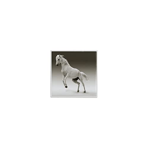 Fabulous Piastrella in ceramica decorativa - Bellissimo cavallo bianco al galoppo animale domestico, 4,5 x 4,5 cm