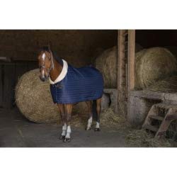 Couverture Teddy EQUITHEME doublée Mouton chaude hiver taille 6.9 box