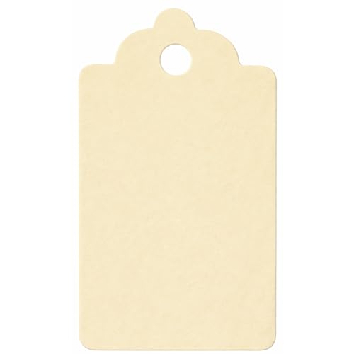 Image of CVANU 200pcs Premium Color Tag Blank Hanging with Pre-Punched Hole Tags for DIY Crafts, Gift Wrapping, Labelling & Writable Decorative Tags for All Occasions (2.85in X 1.7in) Cream2