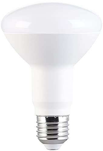 Luminea LED Leuchtmittel: 4er-Set LED-Reflektor R80, E27 11W (ersetzt 100W) 950lm tageslichtweiß (Lampen E 27, Lampe E27 tageslichtweiß, Wohnzimmerleuchten)
