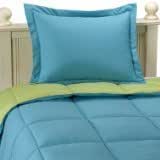 Aeolus Down Microfiber Down Alternative Comforter Set, Twin/Twin X-Long Teal/Lime 66X92
