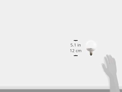 Amazon Com Toshiba Ball Bombilla 100 W Shaped Diametro Exterior De 95 Mm De Tipo Ldg11 N H 100 W Equivalente Home Improvement