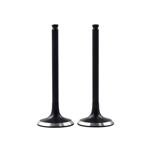 2 soupapes d'échappement pour moto WR450F et YZ450F 2003-2009