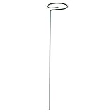 HENYGEN Supporto per piante in metallo da giardino, supporto per piante rampicanti per abbassare pomodori peonia rosa rampicante