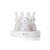 Olala – 3 Nachtlicht für unterwegs, Kaninchen, LED, Leo, Léni & Lila, für Baby & Kinder, wiederaufladbar, Induktionsbetrieb, Autonomie 12 Stunden, ohne Batterie und Kabel – ab Geburt