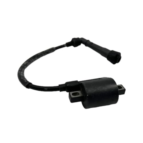Bobina de encendido for JS400 F3-D10000-0, repuesto eléctrico de 400 CC 6
