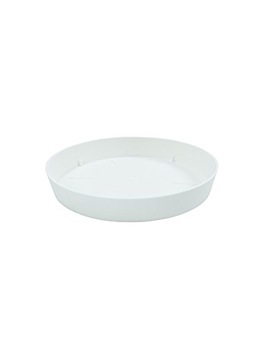 Plastiken Tes - Plat Rond 14x14x2 cm Blanc Cover