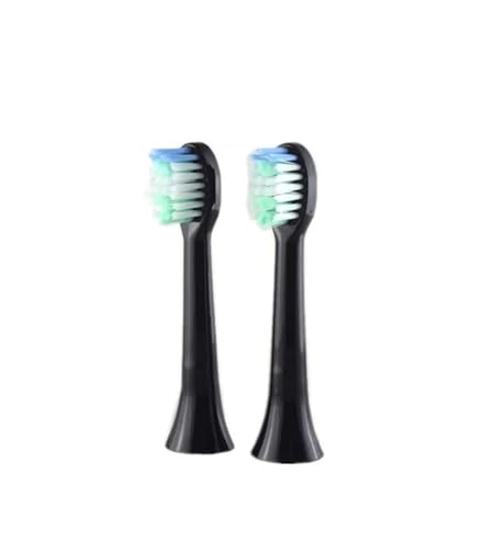 duVwbhpAS100gguVuVɑΉ(Black-2)