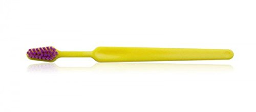 2830C Junior Hot Tropics Children's Toothbrush (1 Dozen) - A Tropical Twist to Dental Care for Kids Ages 6-10, Soft Bristles, Ergonomic Design, Made in The USA