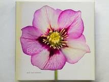 希少　2000部 VULGARIS ロン・ヴァン・ドンゲン 写真集 希少 2000部 VULGARIS ロン・ヴァン・ドンゲン 写真集 希少 2000