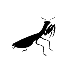 YANJIUCHA Auto Sticker 13Cm * 11.6Cm Grappige Bidsprinkhaan Dierlijke Auto Sticker, Zwart-Wit, Waterdicht En Duurzaam 2…