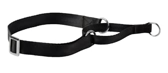 Kennel F2 - Nylon Martingal Collar (1") (B09VGJLQW4) Amazon Price History, Amazon Price Tracker