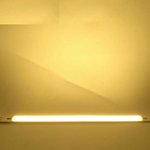 YSJX-ƒpd, 10pbNALEDr[YCOBXgbvvDC12V-14V 10W DIY LED푕dƖ(Warm White)
