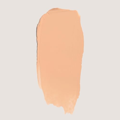 No Makeup Makeup Foundation + Brush Duo, Cream-Balm Formula Conceals, Corrects and Camouflages with Skin-Tone Adaptive Flexshade Technology, Buildable, Long-Lasting, Cruelty-Free, Vegan, Fair