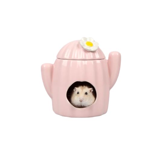 LamanttnX^[nEXAt[h{EAHAEH[^[{gz_[AAnX^[A``AybgpiAƒpi (sN,T{ȇ)