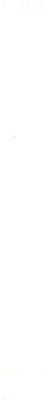 Liquitex 4620432 2-4 mm Fine Nib Paint Marker - Titanium White