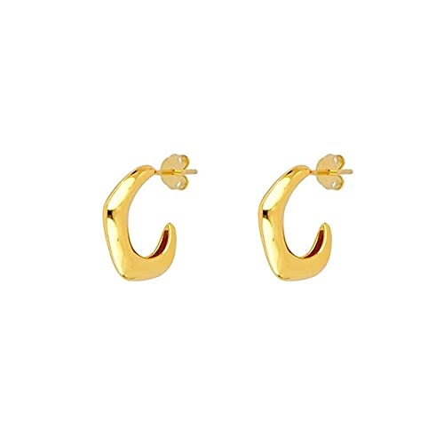 Boucles d'oreilles zircon exquis ZH1YFD, un bijou pendant raffiné et étincelant pour femme
