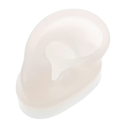 NOLITOY Puncture Practice Ear Model for Students Professionals Realistic Human Ear Structure Display